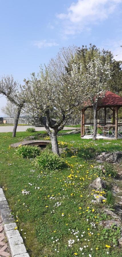 B&B Talstation Horselberg-Hainich Exterior foto